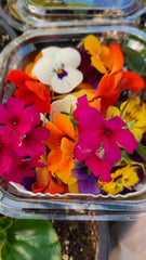 Flori comestibile mix