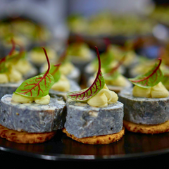 Microplante Macriș Roșu