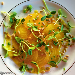 Microplante Floarea-Soarelui