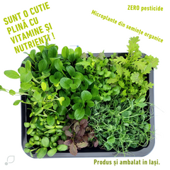 Salata microplante Nutriboost
