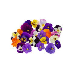 Flori comestibile panselute