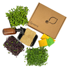 Kit cultivare microplante Reutilizabil - Family