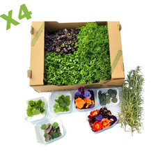 4 X Chef's Box - 125 Ron/cutie cu livrare gratis timp de o luna .